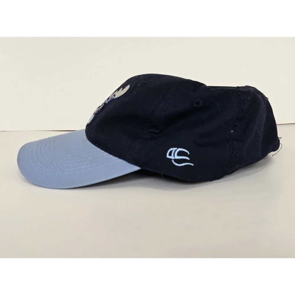 Wilmington Blue Rocks Cap MiLB Embroidered Minor League Baseball Logo